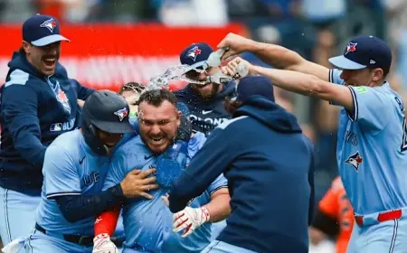 Blue Jays Clinch Playoff Spot: Latest MLB Playoff Picture, Standings, and Magic Number Update