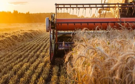 Celanese Embraces Private 5G to Revolutionize Edge Manufacturing