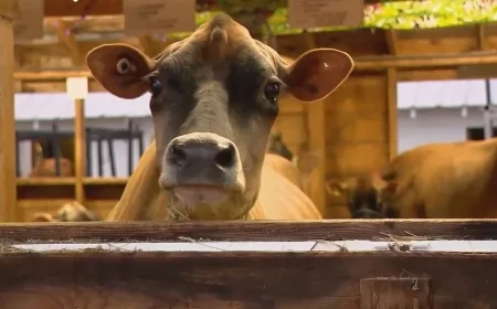 Fryeburg Fair Kicks Off Early with Exciting New Events and Scheduling Concerns