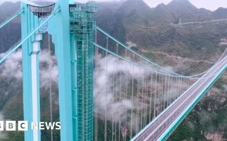 See the Unveiling of the World’s Tallest Bridge Now Open in China