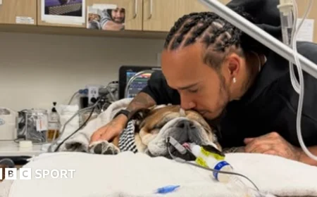 Hamilton withdraws from tire test to care for sick dog