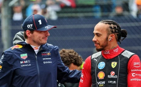 Lewis Hamilton Mourns Loss of Beloved Dog Roscoe After Health Struggle