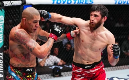 Pereira Reveals He Battled Ankalaev at Only 40 Percent Capacity