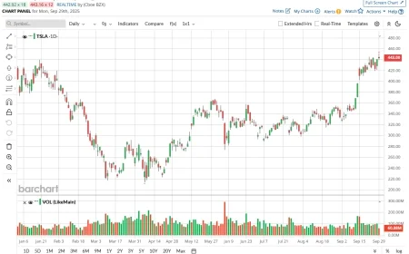 Tesla Stock Skyrockets: What the Current Price of a Share of Tesla Stock Reveals About Its Future