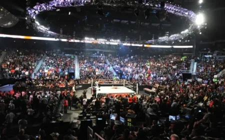 WWE Star Faces Potential Severe Injury During Thrilling TNA Event