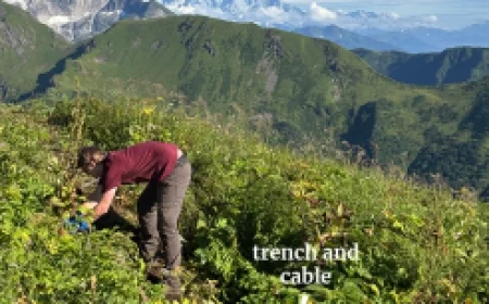 Revitalized Station Bridges Critical Earthquake Detection Gap