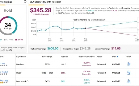 Tesla Stock Surges: What the Latest Price of a Share of Tesla Stock Reveals About Investor Confidence and Market Risks