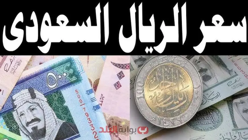 سعر الريال السعودي مقابل الجنيه المصري اليوم الجمعة 12 سبتمبر 2025 استقرار نسبي مع توقعات بتحركات طفيفة خلال الأيام المقبلة
