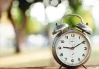 Daylight Saving Time: Set Clocks Back This Weekend