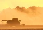 USDA Reopens County Offices to Aid Farmers Amid Government Shutdown