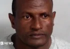 Asylum Seeker Jailed for Sexual Assault Mistakenly Released, Manhunt Launched