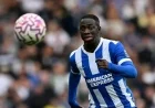 Yankuba Minteh’s Impact on Brighton Increases Weekly