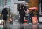 Autumn Storm in B.C. Leaves Thousands Powerless, Cancels Ferries