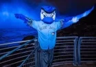 Niagara Falls Illuminates Blue for Blue Jays This Weekend