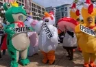 Experts: ‘No Kings’ Protests Dominated by Single Demographic