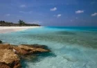 Bahamas Authorities Detain Eight Americans Over High-Powered Weapons Cache