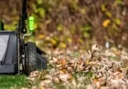 When to Stop Mowing Your Lawn for Winter Preparation