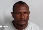 Erroneously Released Migrant Sex Offender Re-Arrested