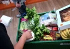USDA Announces Suspension of Food Aid Benefits for Next Month