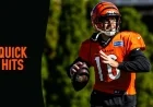 Joe Flacco, Bengals’ Chase, Higgins Aim for 4-4 Record