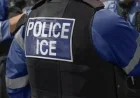 Honduran Man Fatally Struck on Virginia Highway Fleeing ICE Agents
