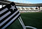 Botafogo vs. Santos: Lineups, Referee & How to Watch Live