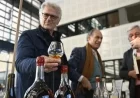 Discover France’s Finest Wines at Lyon’s Halle Tony-Garnier