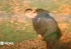 Police Release Video of Suspect in Racially Aggravated Walsall Rape