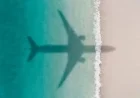 IAG Shares Soar 255% with Low P/E Ratio of 8