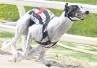Greyhound Movie Release Officially Announced