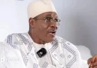 Issa Tchiroma Bakary Rejects Alleged Vote Theft in Cameroon Election