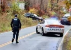 Waverley Residents Advised to Shelter as Armed Suspect Roams
