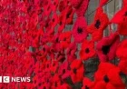 Heddington Honors Remembrance with 7,000 Knitted Poppies Display