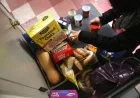750,000 Alabamians Lose SNAP Benefits Amid Government Shutdown