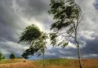 Windy conditions intensify today: where gusts are strongest, safety tips, and the best tools to track high winds