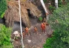 Rising Threats Endanger Survival of Uncontacted Indigenous Peoples