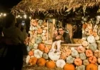 Top Activities in LA and SoCal: October 27-30