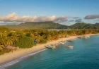 LIAT Air Expands Caribbean Routes, Enhancing Dominican Republic Connectivity