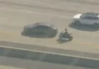 Off-Duty Officer Stops Motorcyclist Wanted for Killing California Deputy in Chase