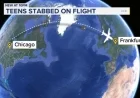 DOJ Charges Indian National in Lufthansa Flight Stabbing from Chicago to Germany