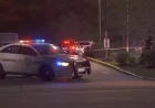 Jacksonville Weekend Shootings: 4 Injured, 1 Critically, in 3 Incidents
