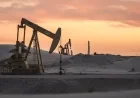Oil Executives Forecast 2026 Price Dip Amid Permian Basin Production Boost