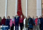 Handcrafted Poppy Display Unveiled for Remembrance Day Tribute