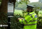 Police Identify Man Found Dead on Southampton Common