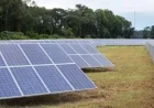 Georgia Leads Solar Growth Surge in the Southern United States, Report Reveals