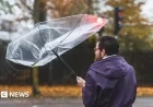 NI Weather Alert: Yellow Wind Warning as Gusts Reach 70mph