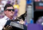 LSU Athletic Director Scott Woodward Removed After Governor’s Criticism