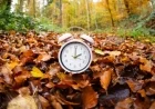 Clocks Fall Back This Weekend for Daylight Saving Time 2025