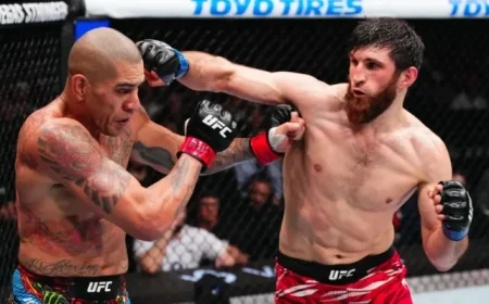 Magomed Ankalaev’s Coach Criticizes Alex Pereira Ahead of UFC 320 Calling Him an Old Kickboxer