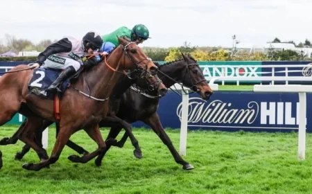 William Hill Boosts Ireland’s Smaller Yards with €135,000 Series Sponsorship